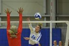 Wheaton Women's Volleyball  Wheaton Women's Volleyball vs Bridgewater State University. : Wheaton, Volleyball, BSU, Bridgewater State College